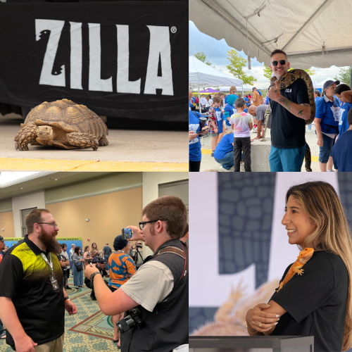 ZIL_Events Section_500x500 (1)